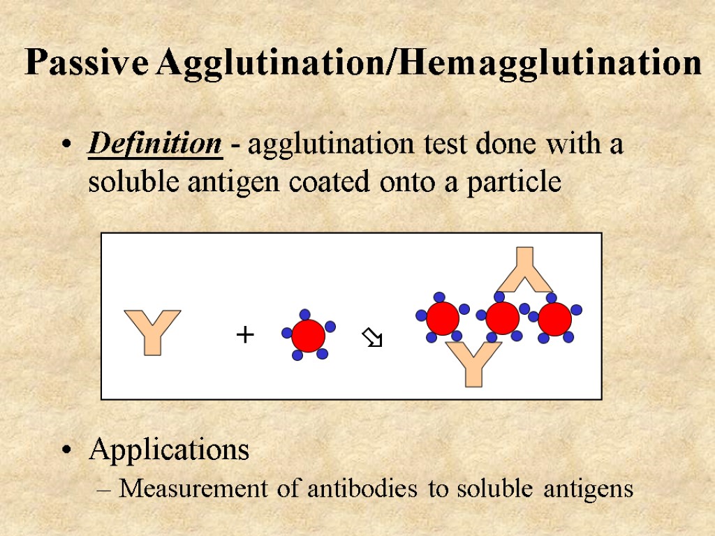Passive Agglutination/Hemagglutination Definition - agglutination test done with a soluble antigen coated onto a